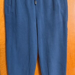 Patagonia Women's Micro D® Fleece Joggers - Navy Blue